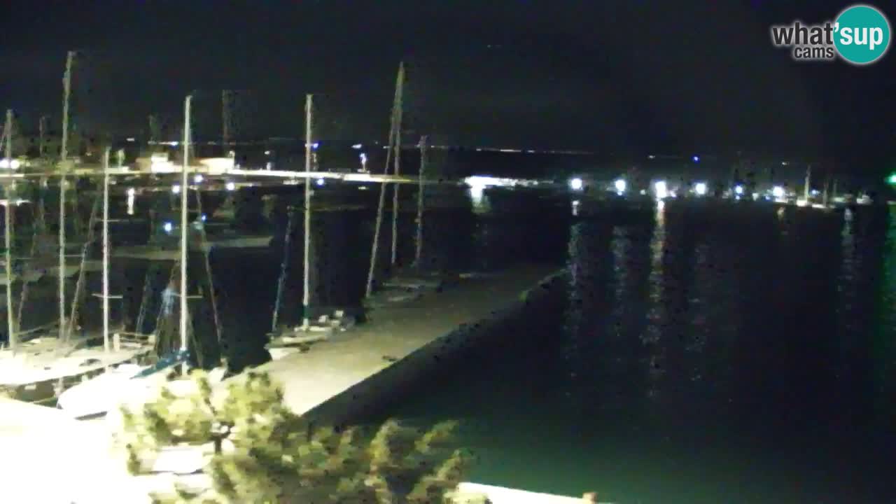 Webcam Sistiana – Pogled na marinu i zaljev