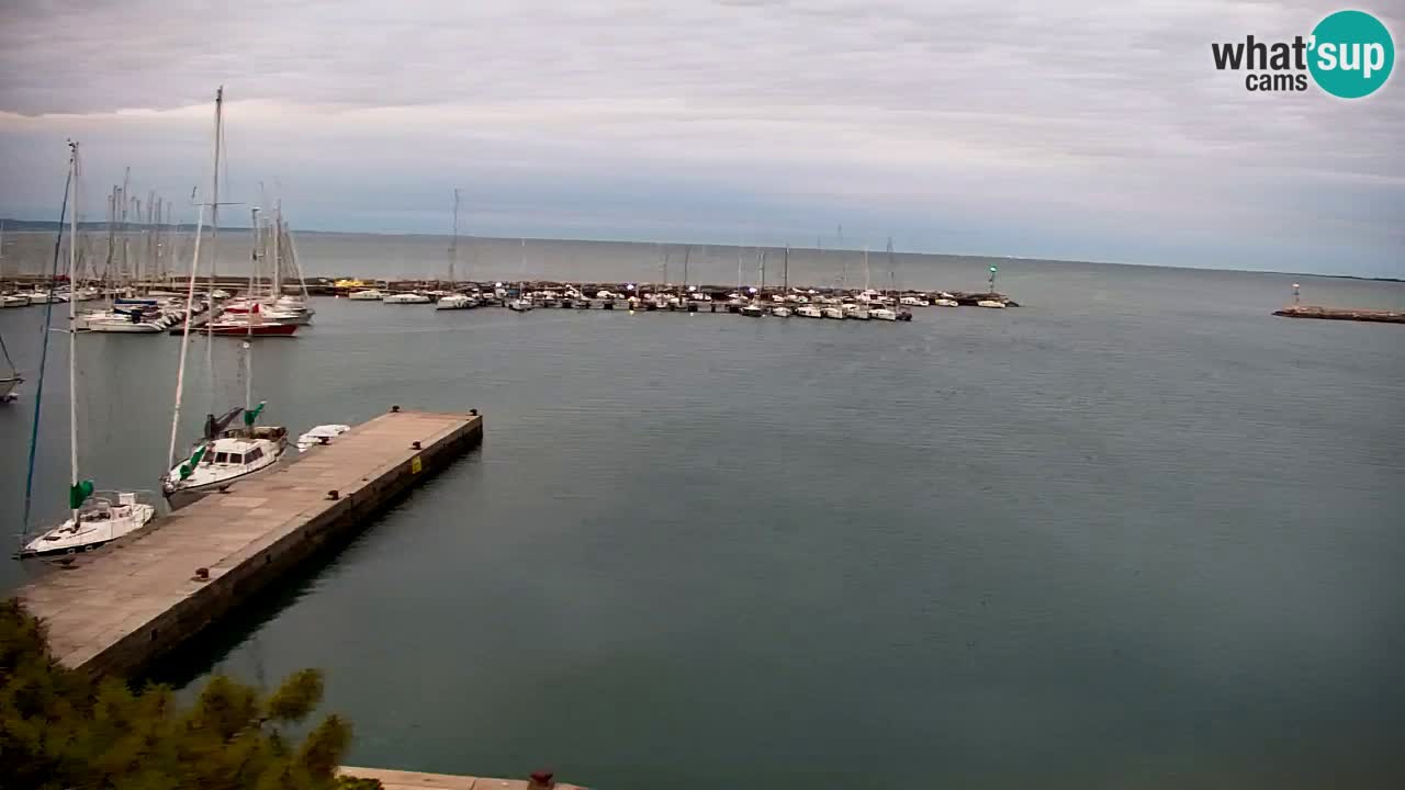 Webcam Sistiana – Marina and Bay Live View