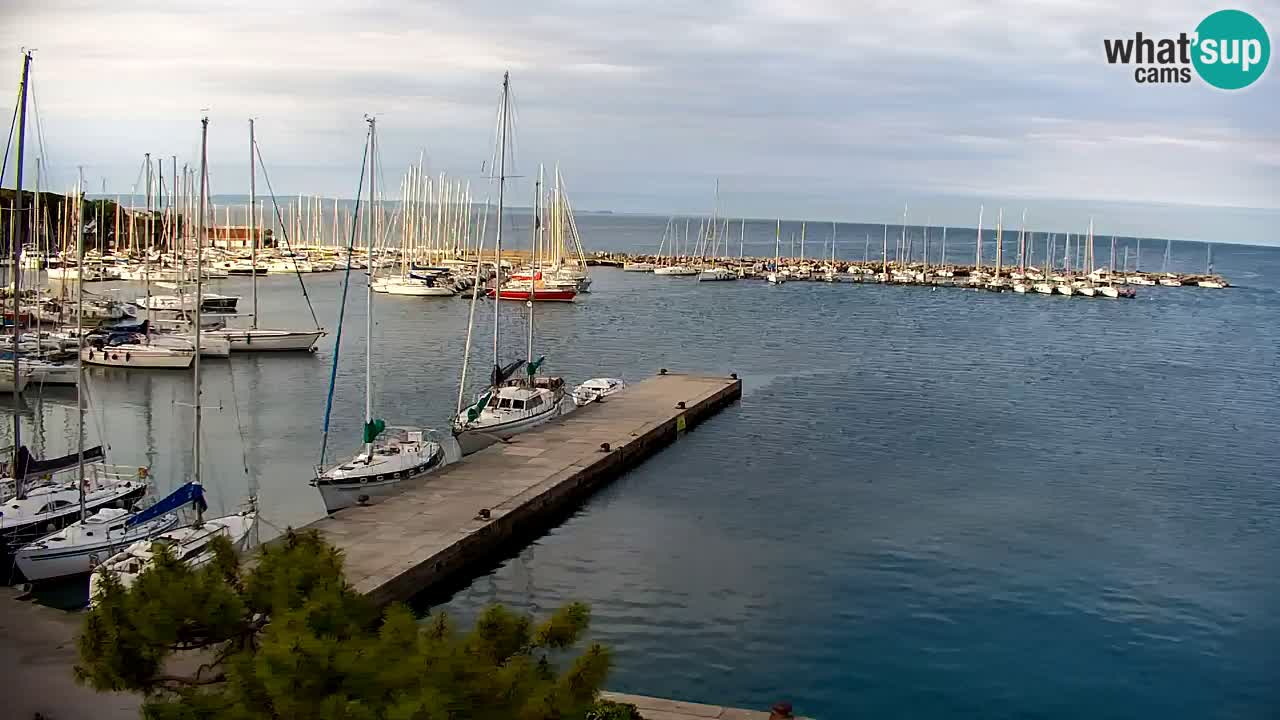 Webcam Sistiana – Marina and Bay Live View