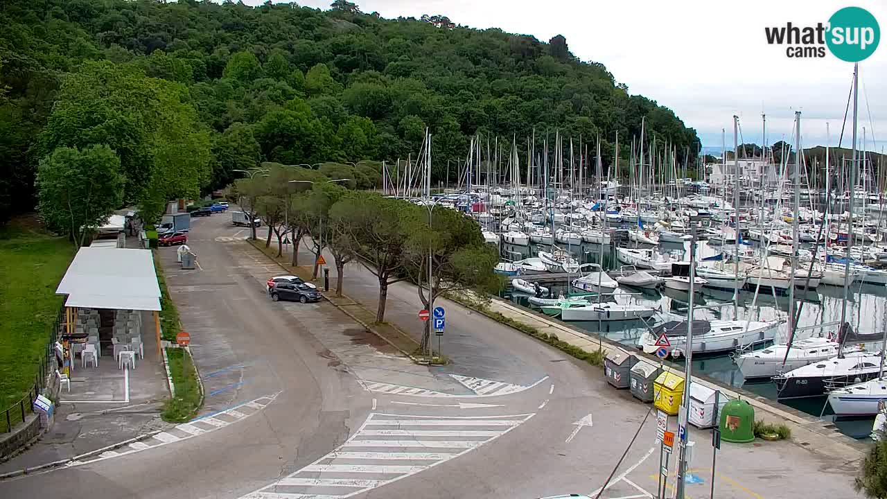 Spletna kamera Sesljan (Sistiana) – Pogled na marino in zaliv