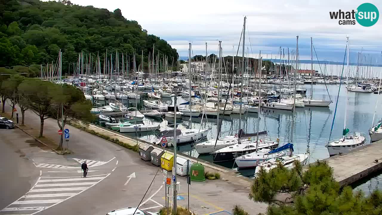 Webcam Sistiana – Marina and Bay Live View