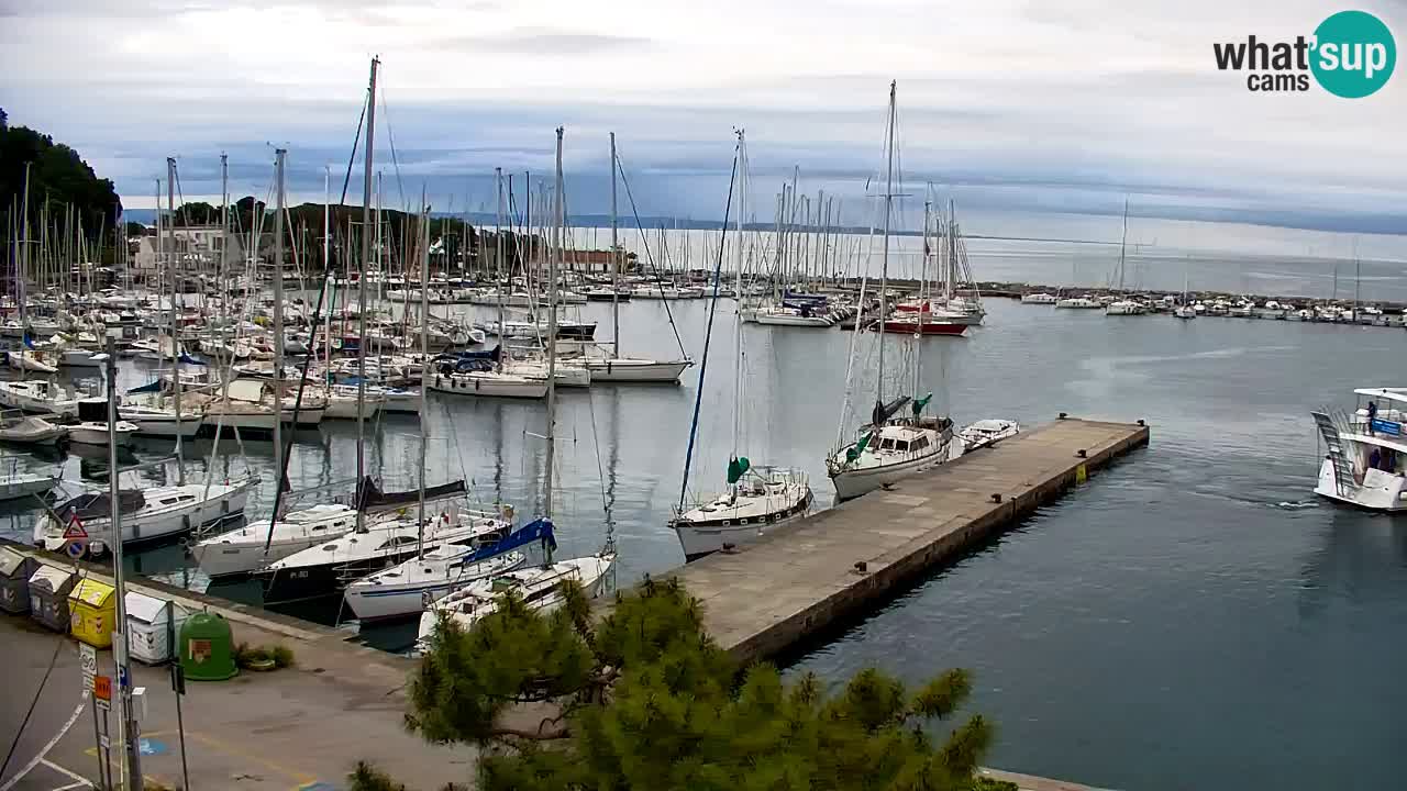 Webcam Sistiana – Vista sulla marina e sulla baia