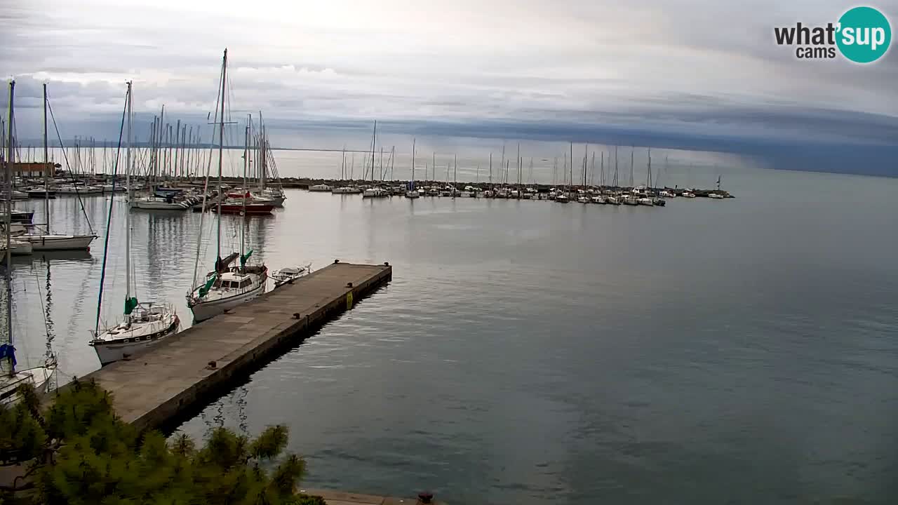 Webcam Sistiana – Pogled na marinu i zaljev
