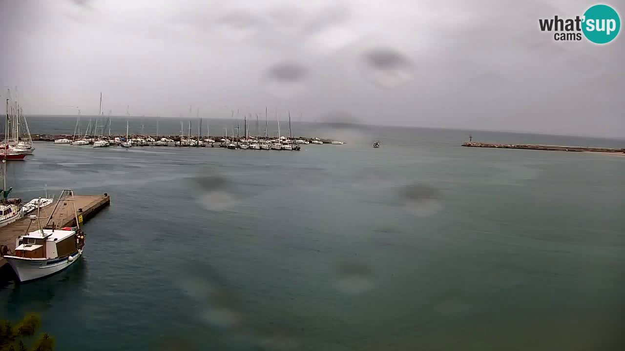 Spletna kamera Sesljan (Sistiana) – Pogled na marino in zaliv
