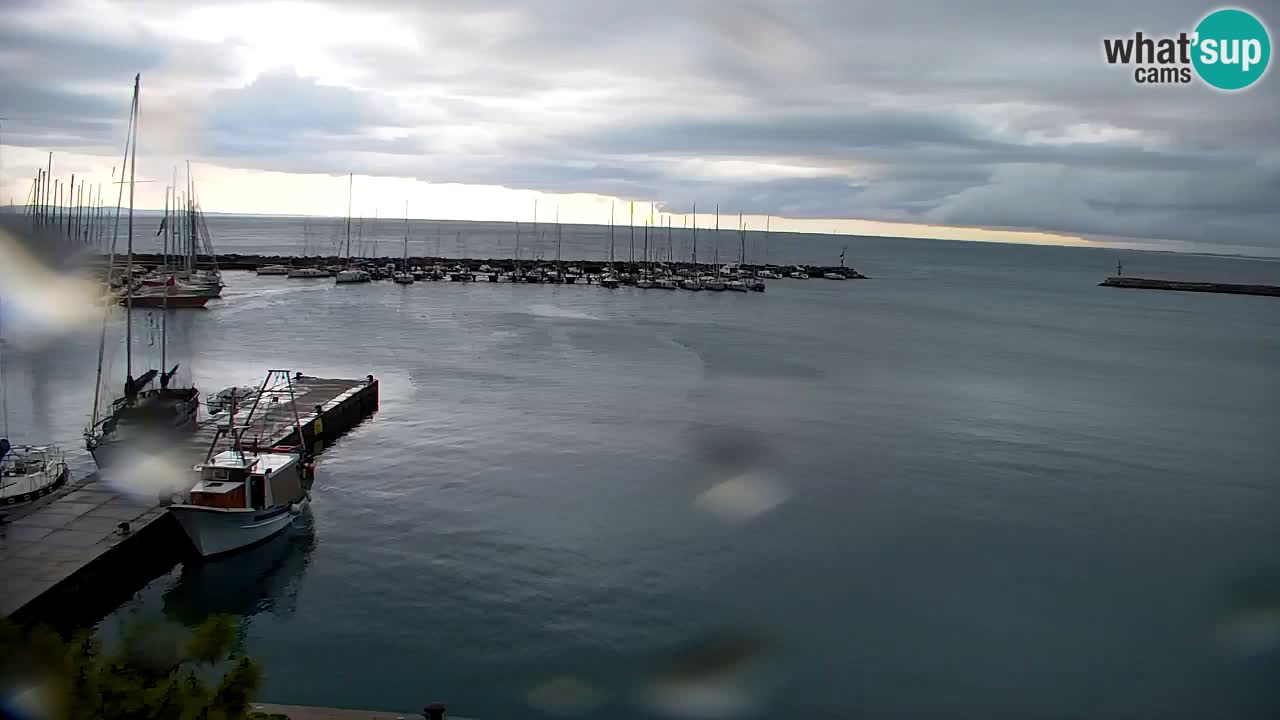 Webcam Sistiana – Marina and Bay Live View