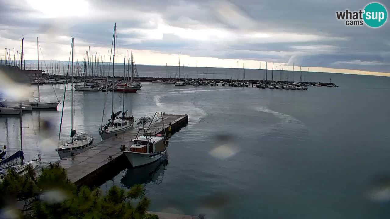 Webcam Sistiana – Blick auf Marina und Bucht