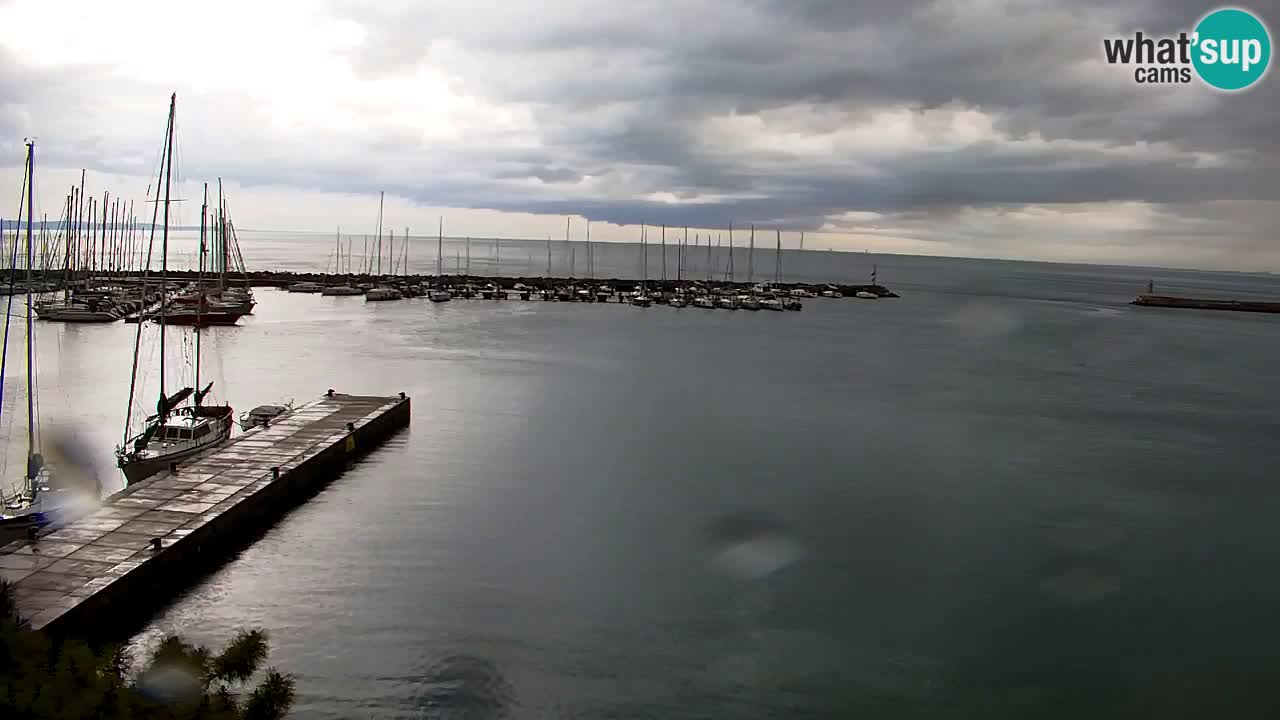 Webcam Sistiana – Vista sobre la marina y la bahía