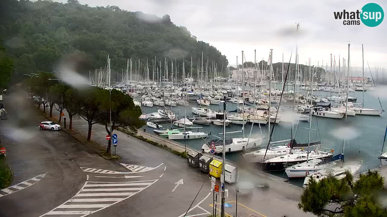 Webcam Sistiana – Marina and Bay Live View