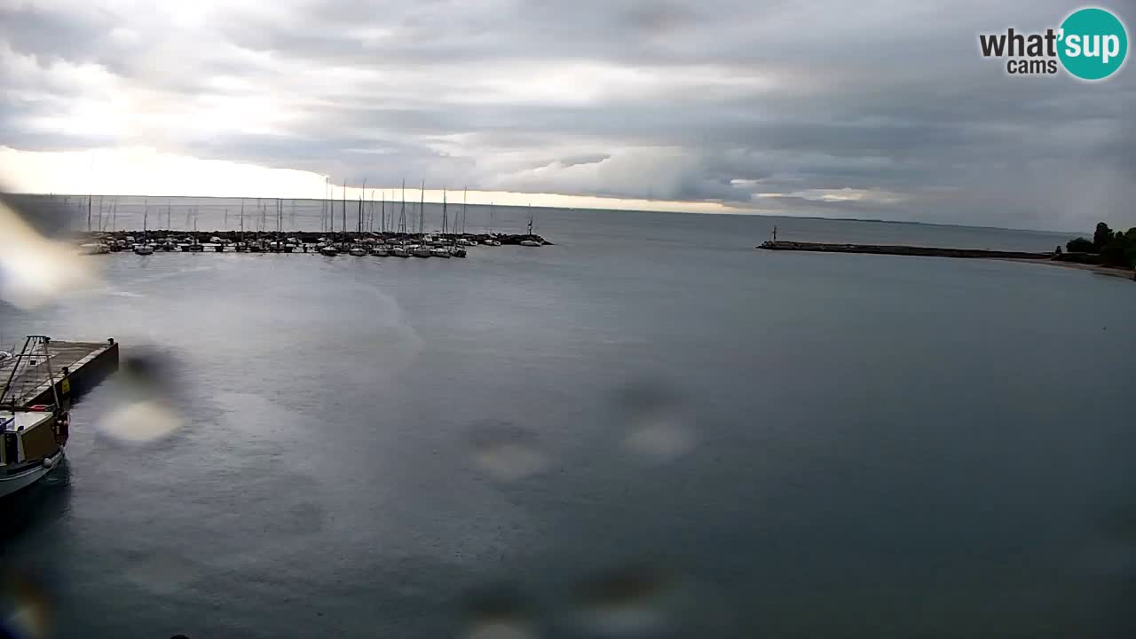 Webcam Sistiana – Marina and Bay Live View