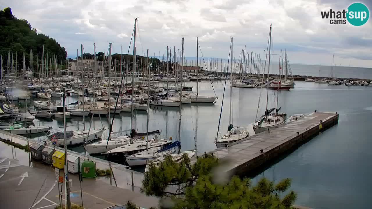 Webcam Sistiana – Marina and Bay Live View