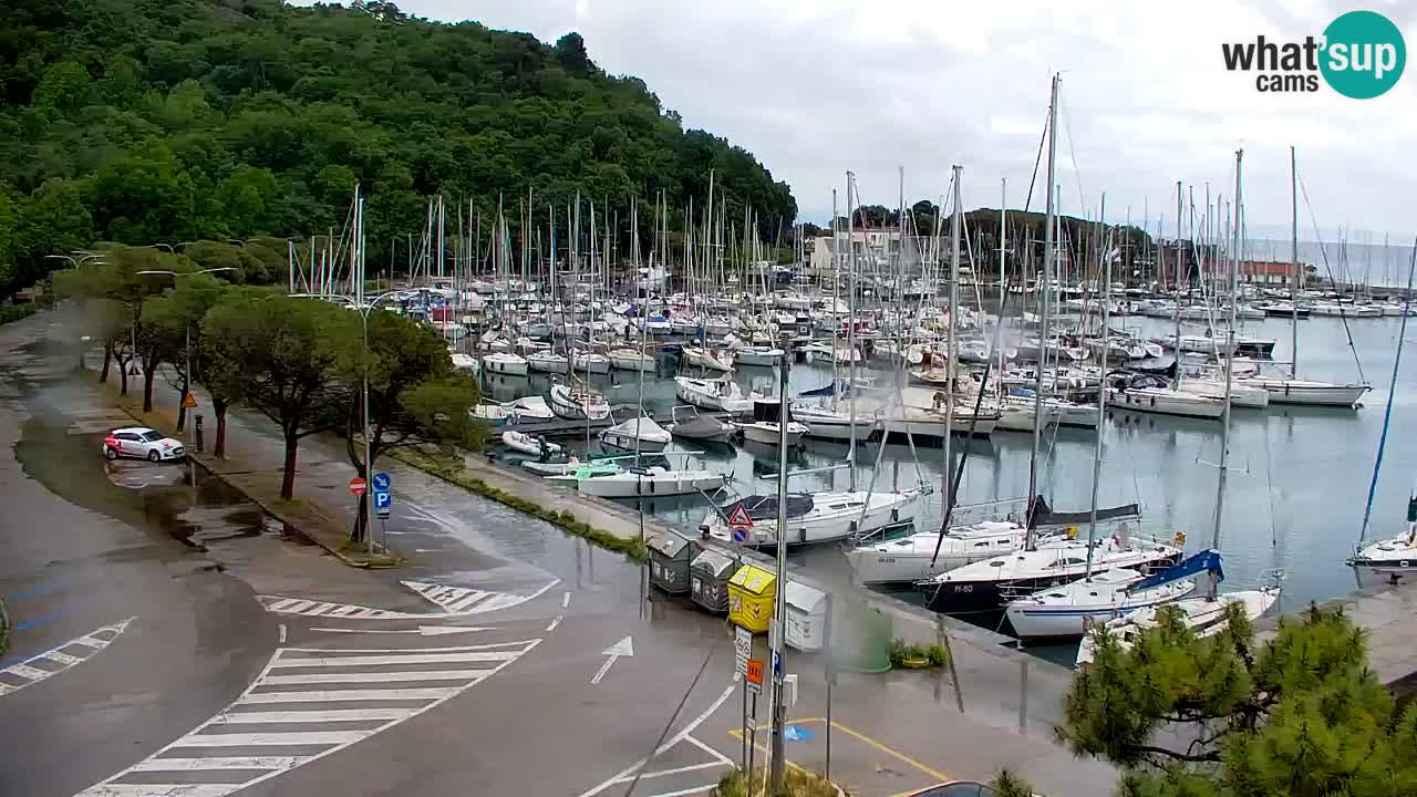 Webcam Sistiana – Marina and Bay Live View