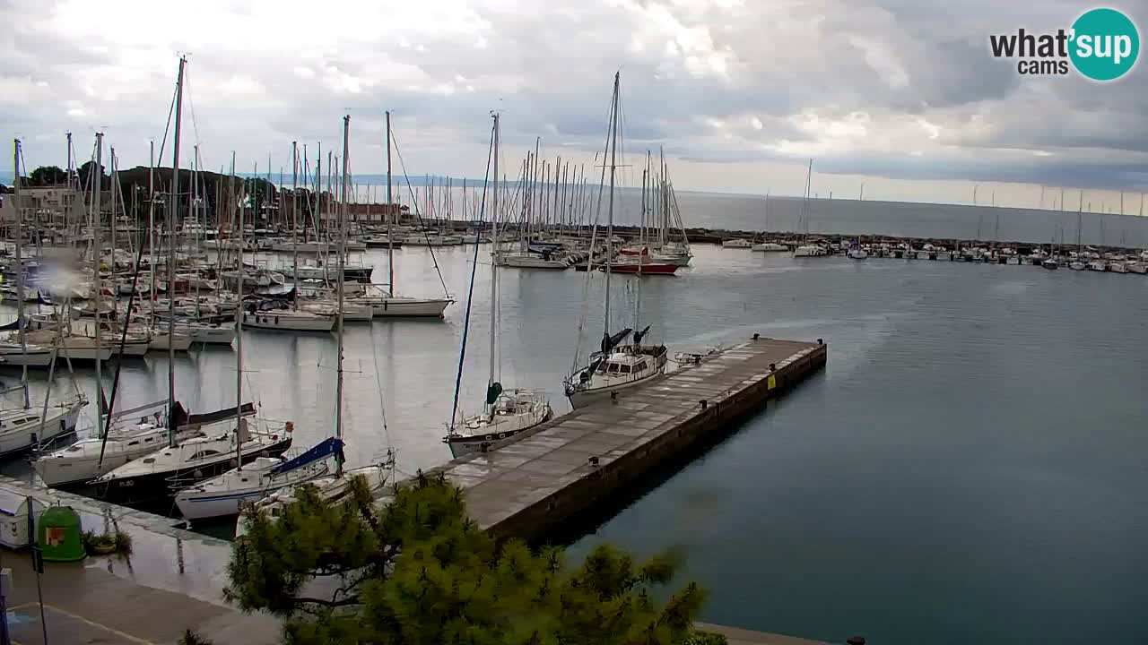 Webcam Sistiana – Marina and Bay Live View
