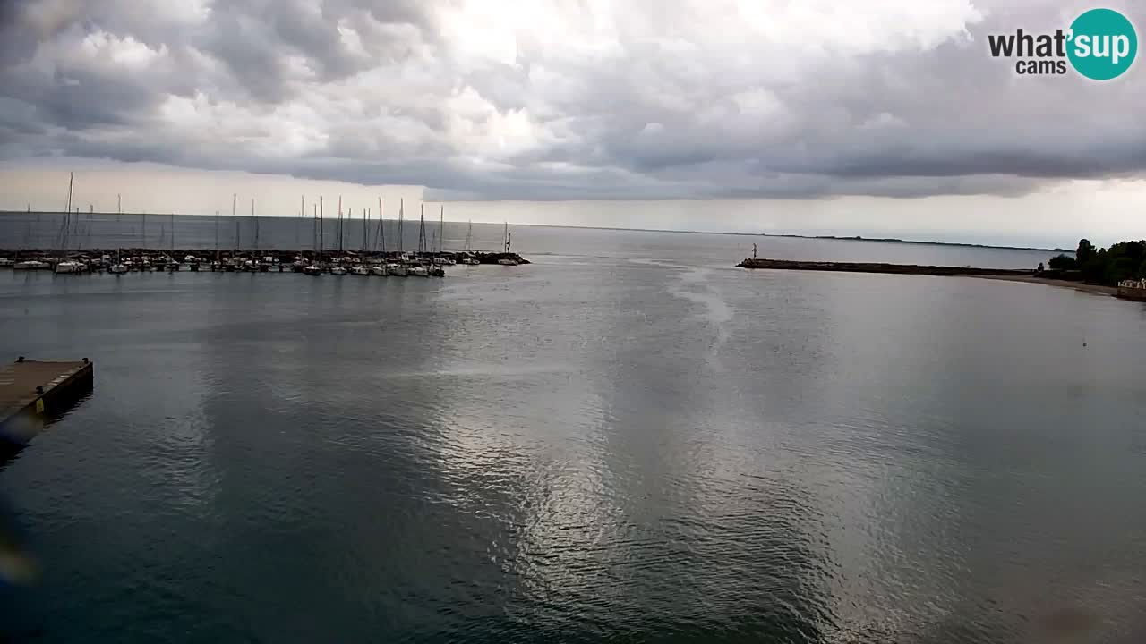 Webcam Sistiana – Marina and Bay Live View