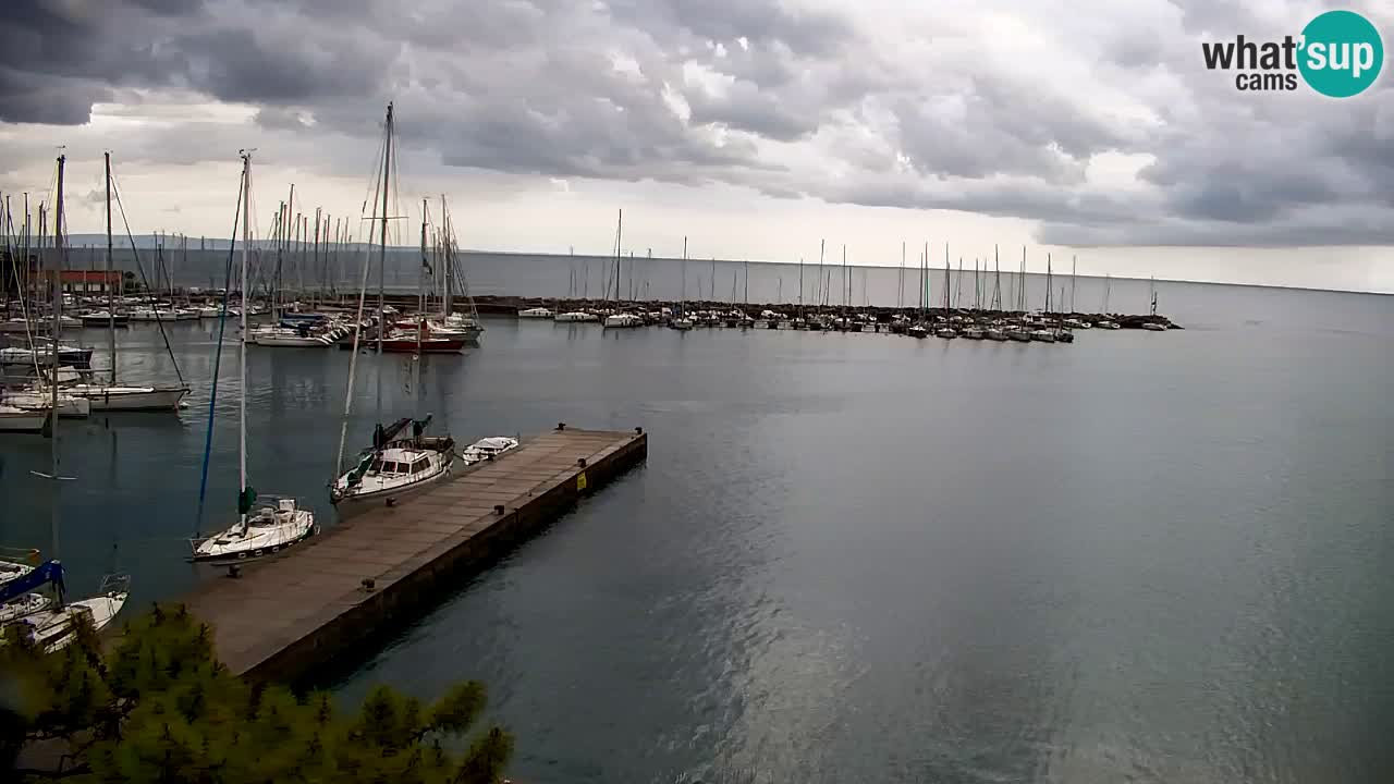Webcam Sistiana – Marina and Bay Live View