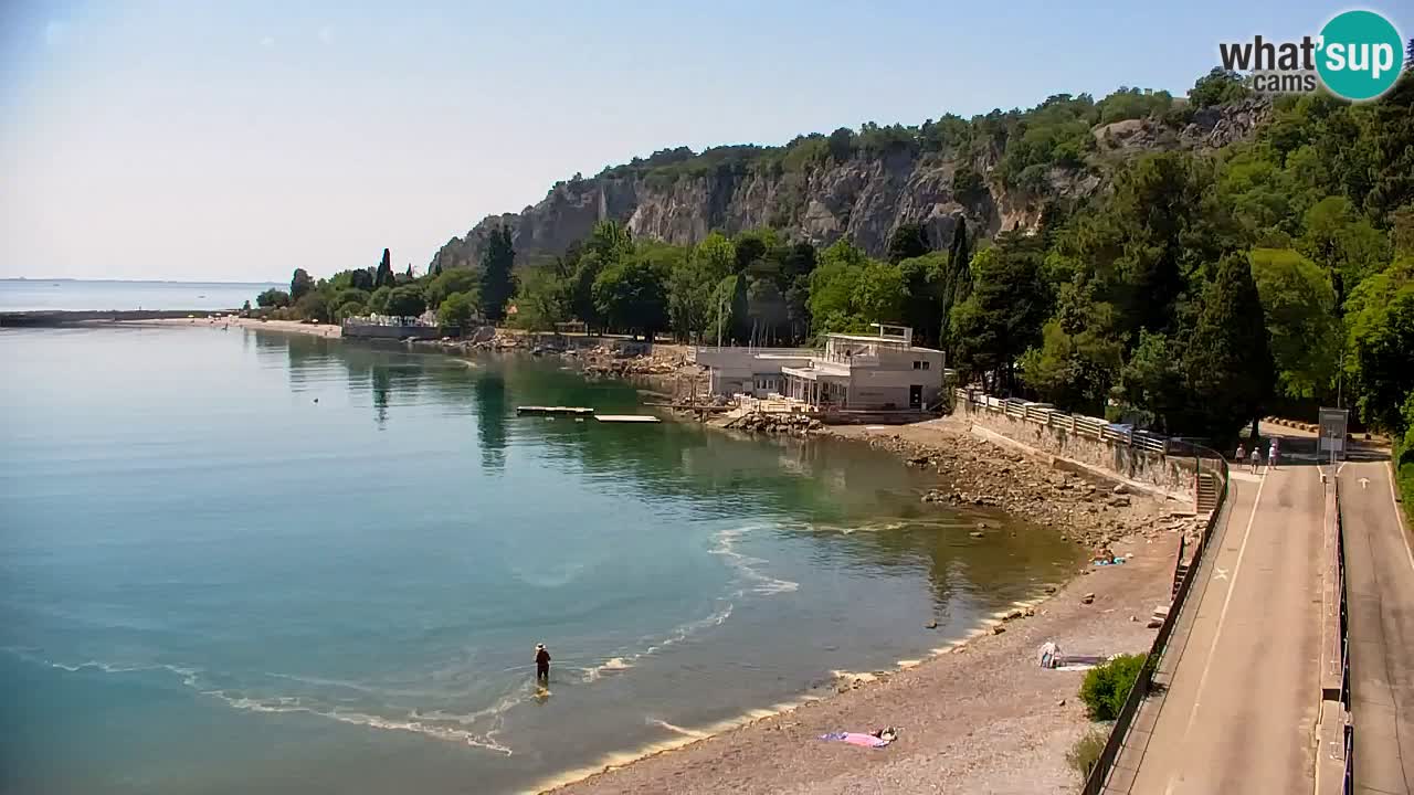 Webcam Sistiana – Pogled na marinu i zaljev