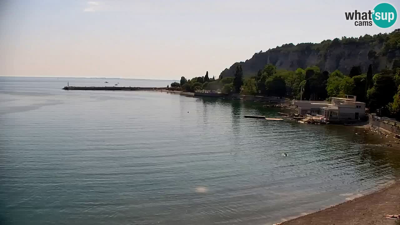 Webcam Sistiana – Marina and Bay Live View