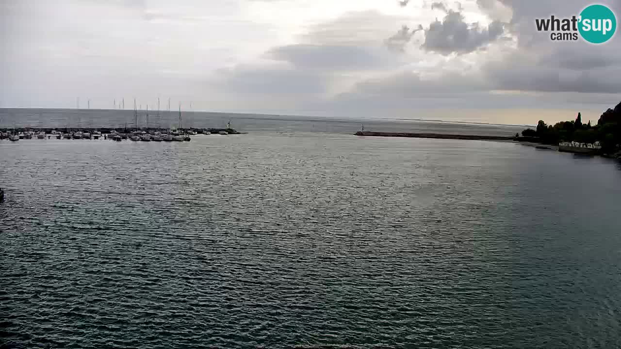 Webcam Sistiana – Marina and Bay Live View