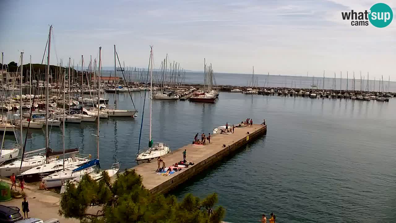 Webcam Sistiana – Pogled na marinu i zaljev