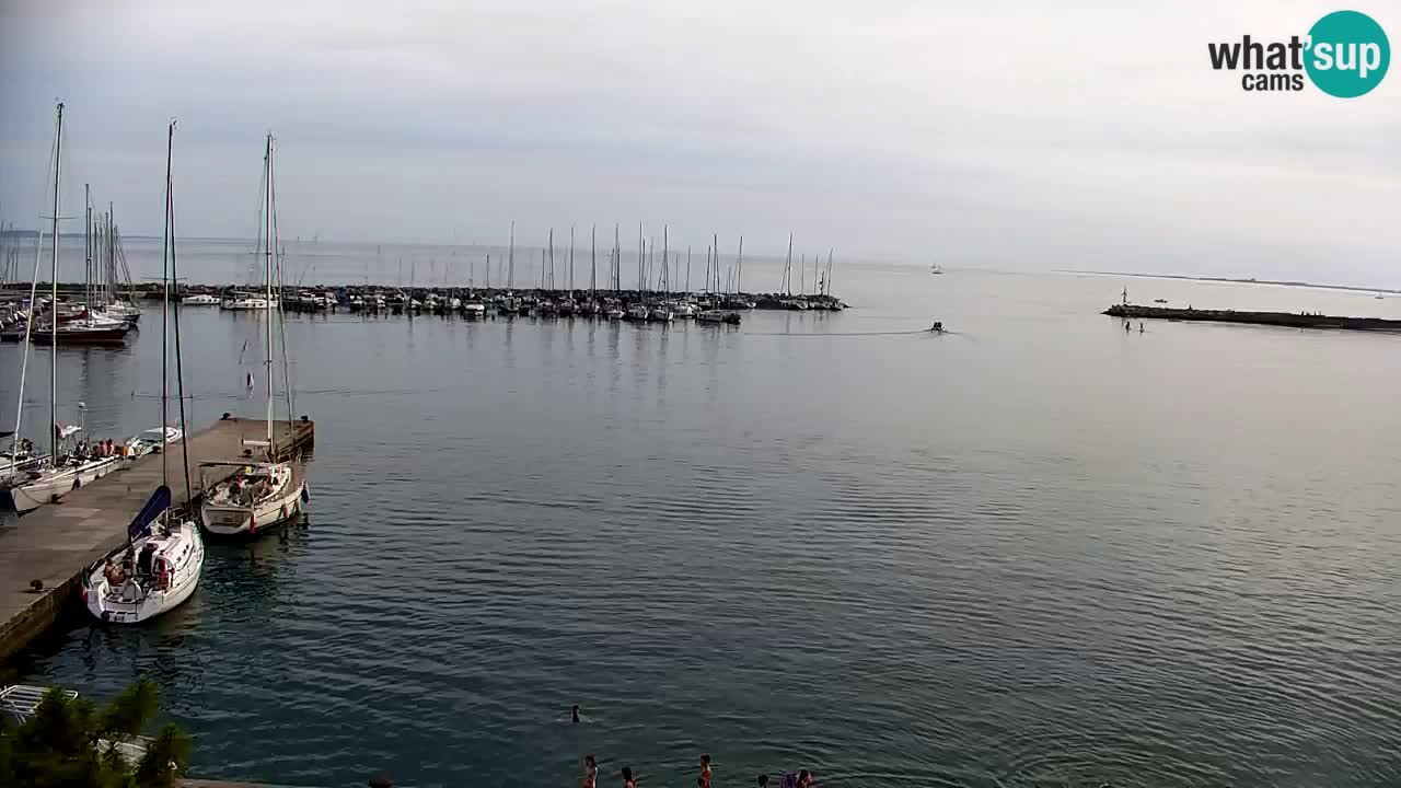 Webcam Sistiana – Marina and Bay Live View