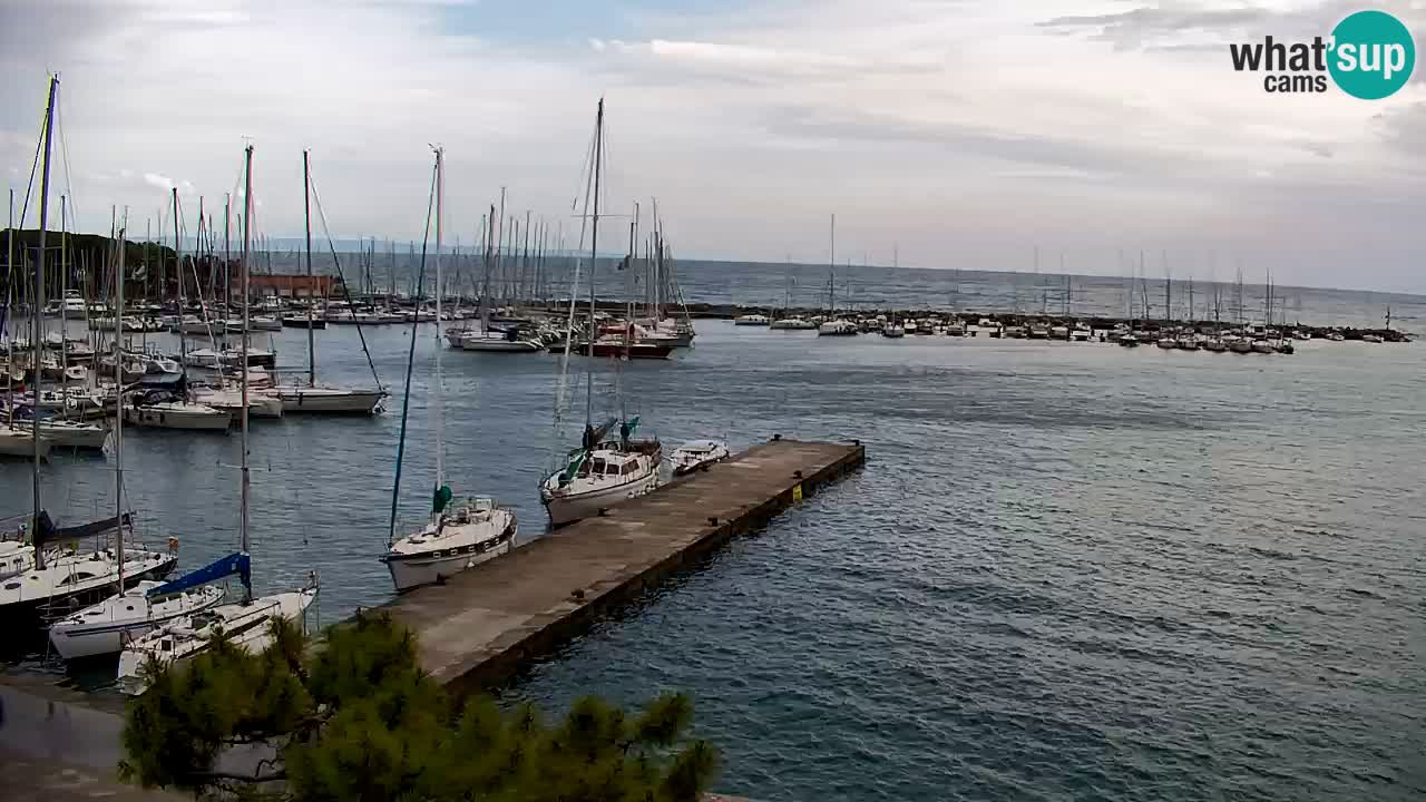 Webcam Sistiana – Marina and Bay Live View