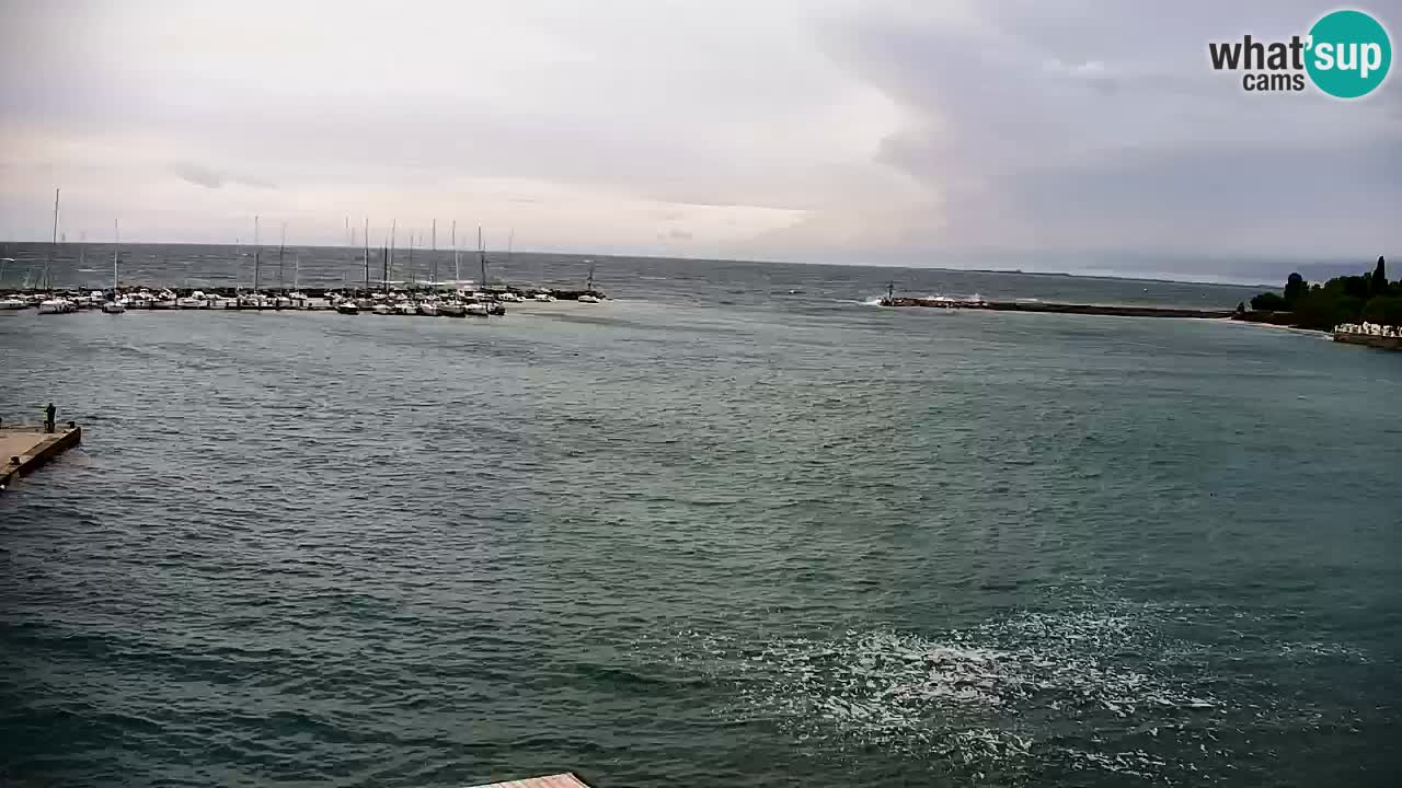 Webcam Sistiana – Marina and Bay Live View