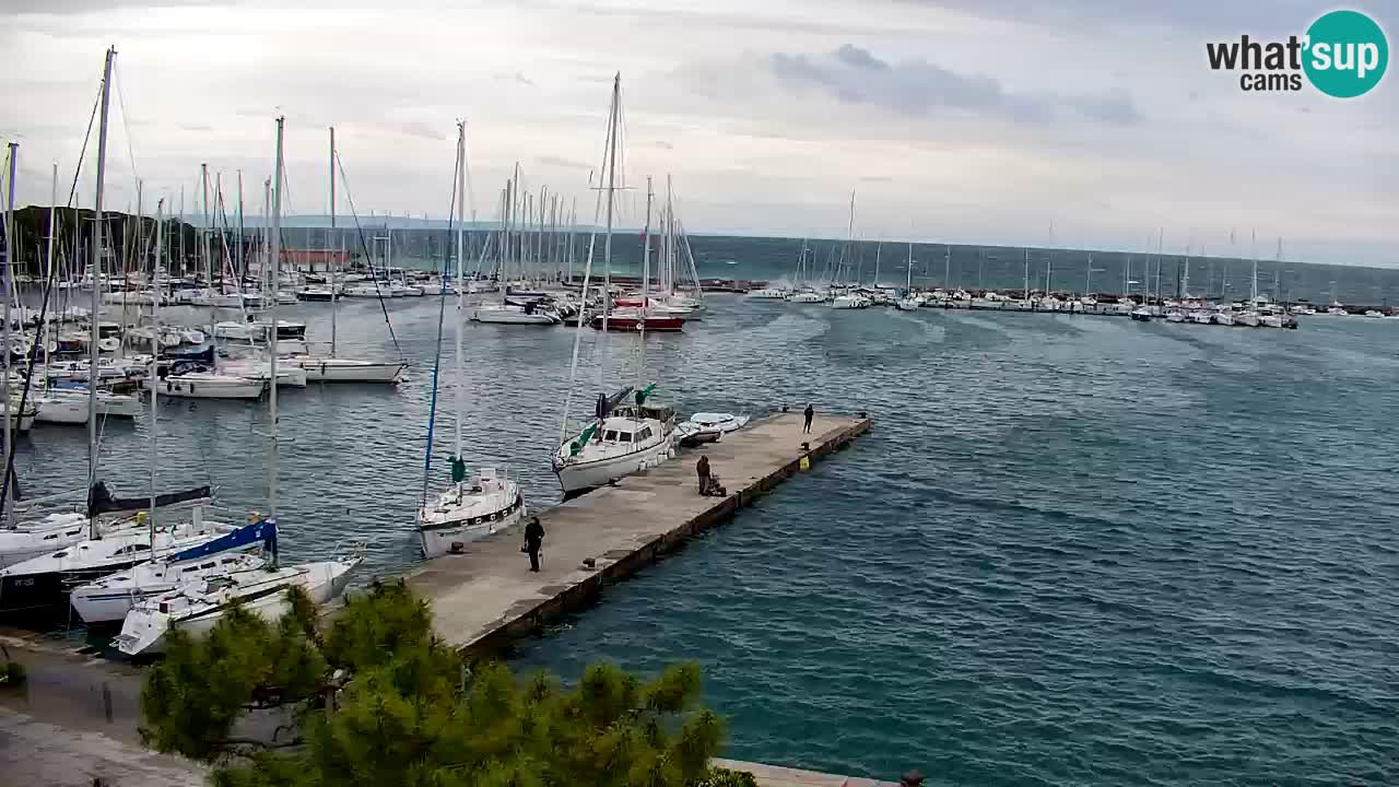 Spletna kamera Sesljan (Sistiana) – Pogled na marino in zaliv