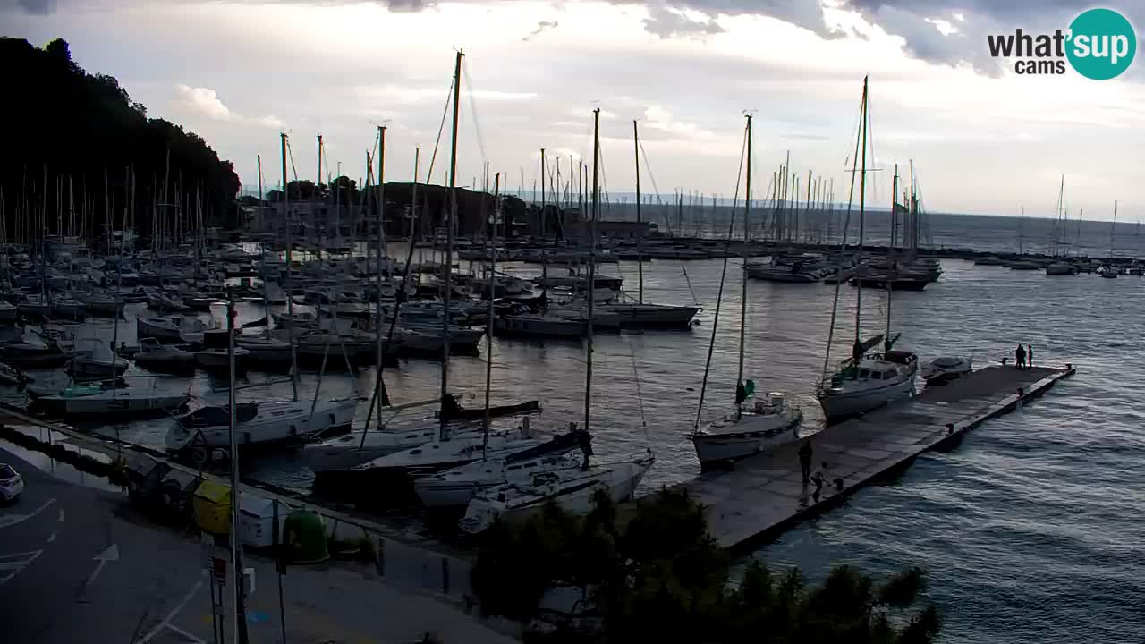 Webcam Sistiana – Marina and Bay Live View