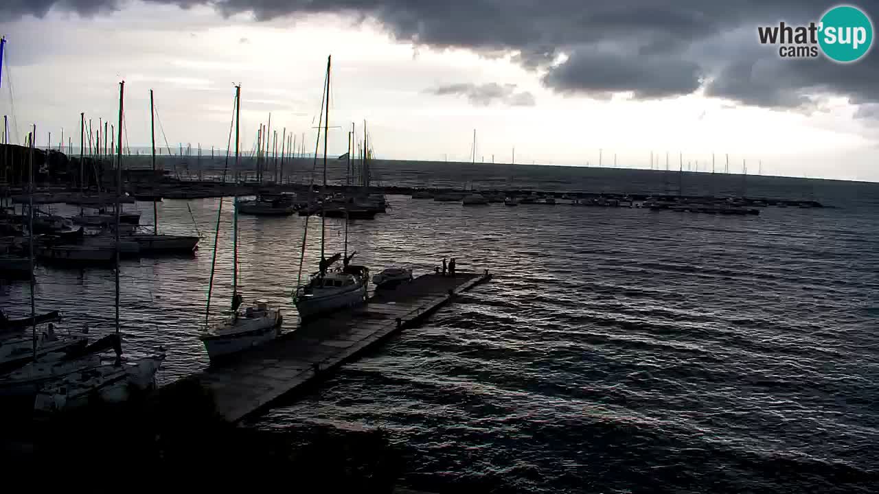 Webcam Sistiana – Marina and Bay Live View