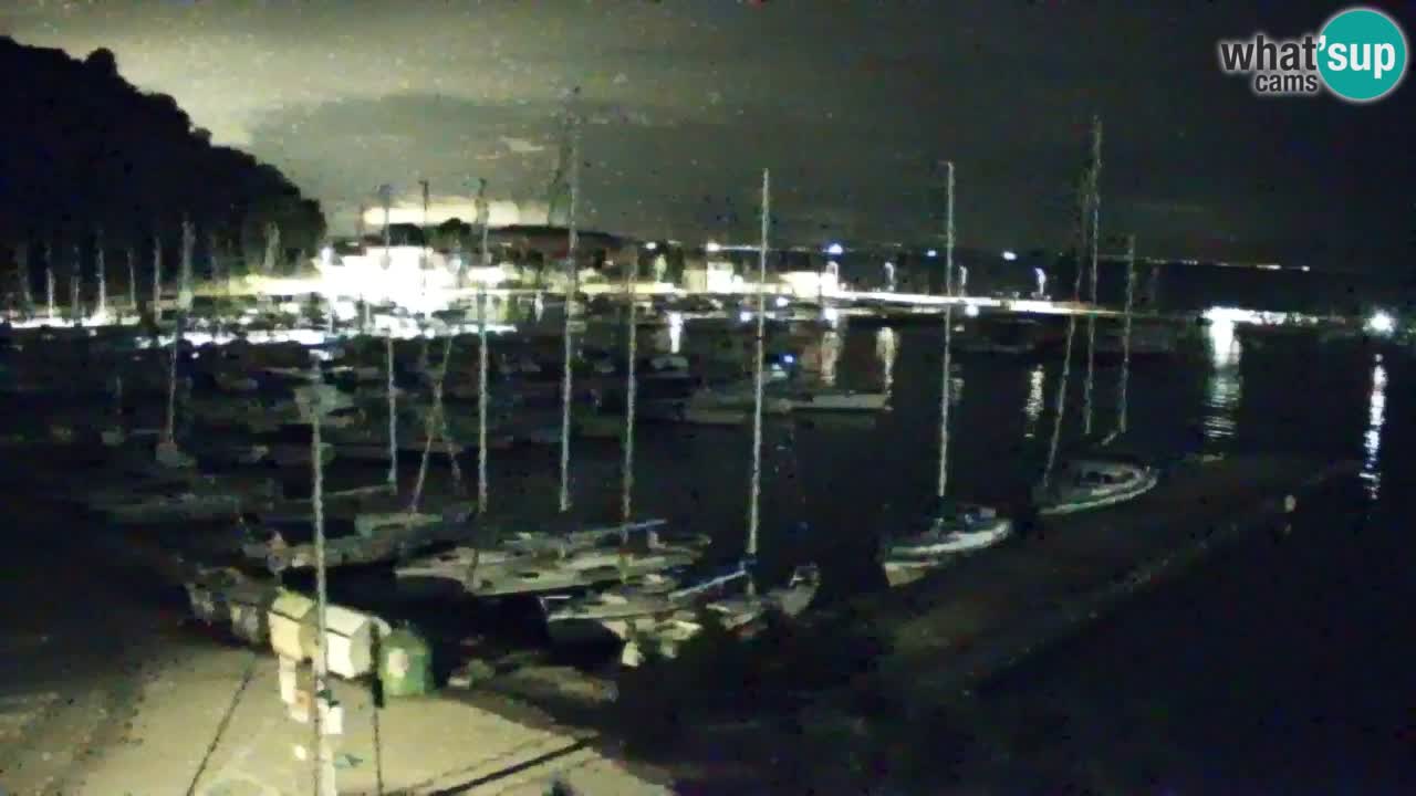 Webcam Sistiana – Marina and Bay Live View