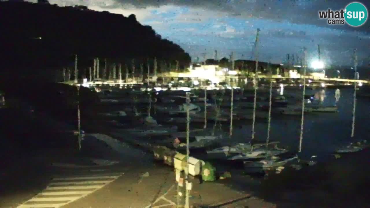 Webcam Sistiana – Marina and Bay Live View