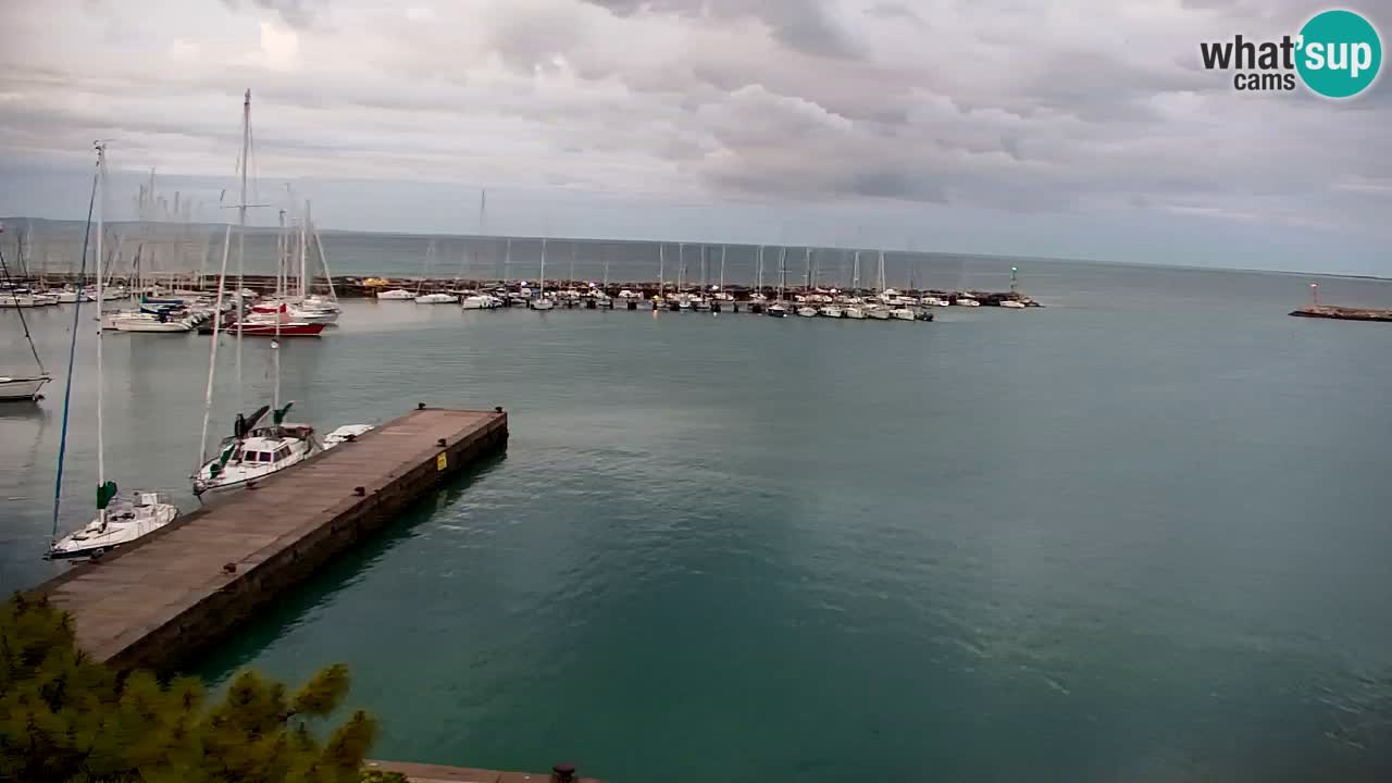 Webcam Sistiana – Pogled na marinu i zaljev