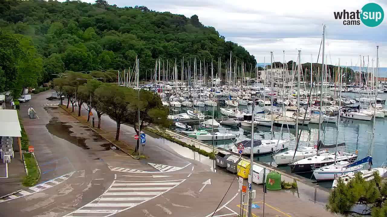 Webcam Sistiana – Pogled na marinu i zaljev