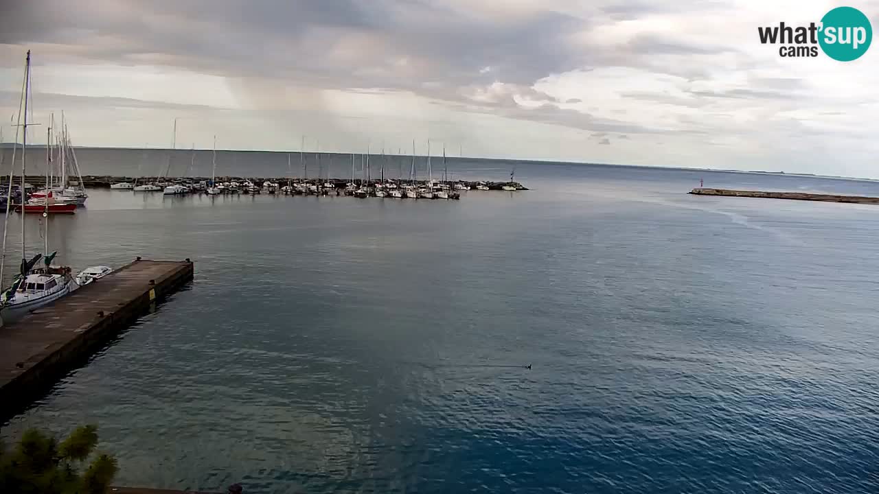 Webcam Sistiana – Vista sulla marina e sulla baia