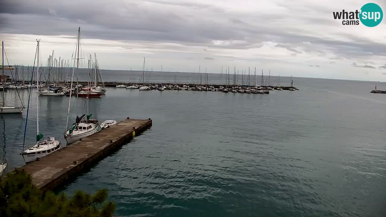 Webcam Sistiana – Marina and Bay Live View