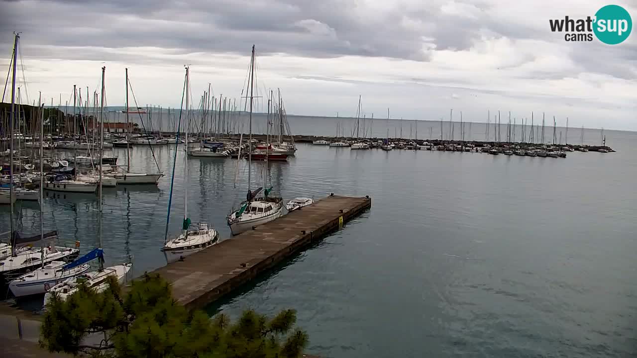 Webcam Sistiana – Blick auf Marina und Bucht