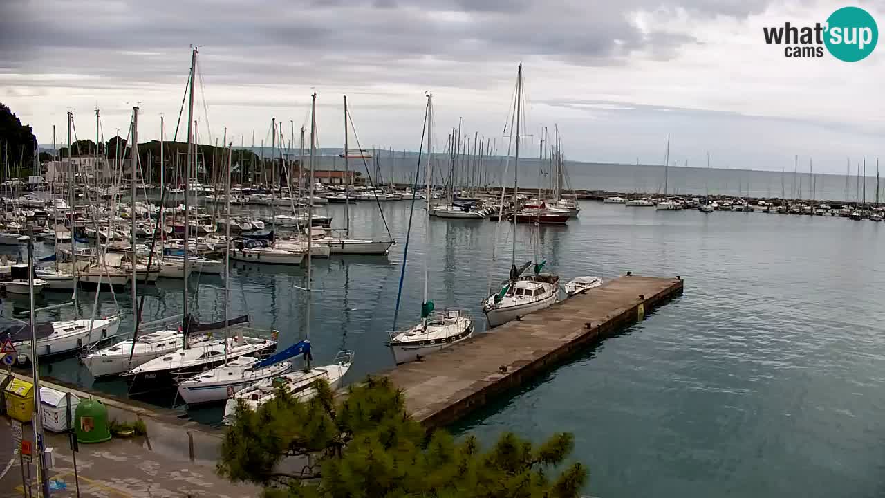 Spletna kamera Sesljan (Sistiana) – Pogled na marino in zaliv