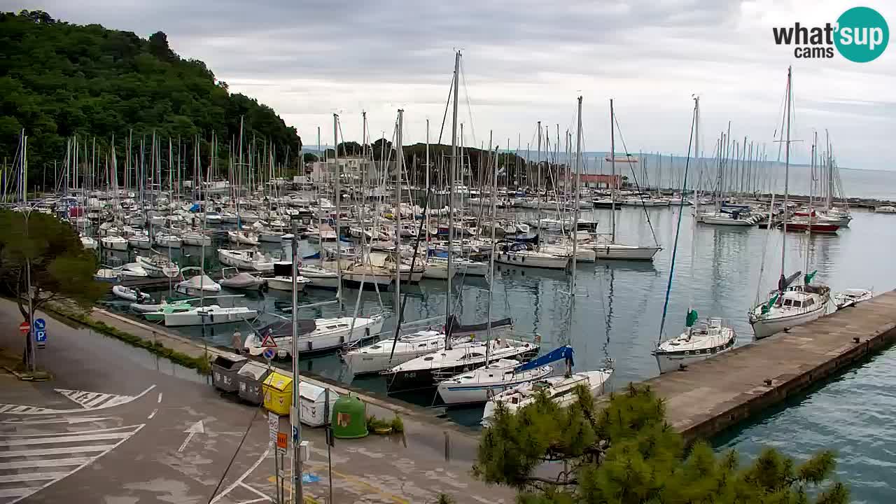 Webcam Sistiana – Vista sulla marina e sulla baia