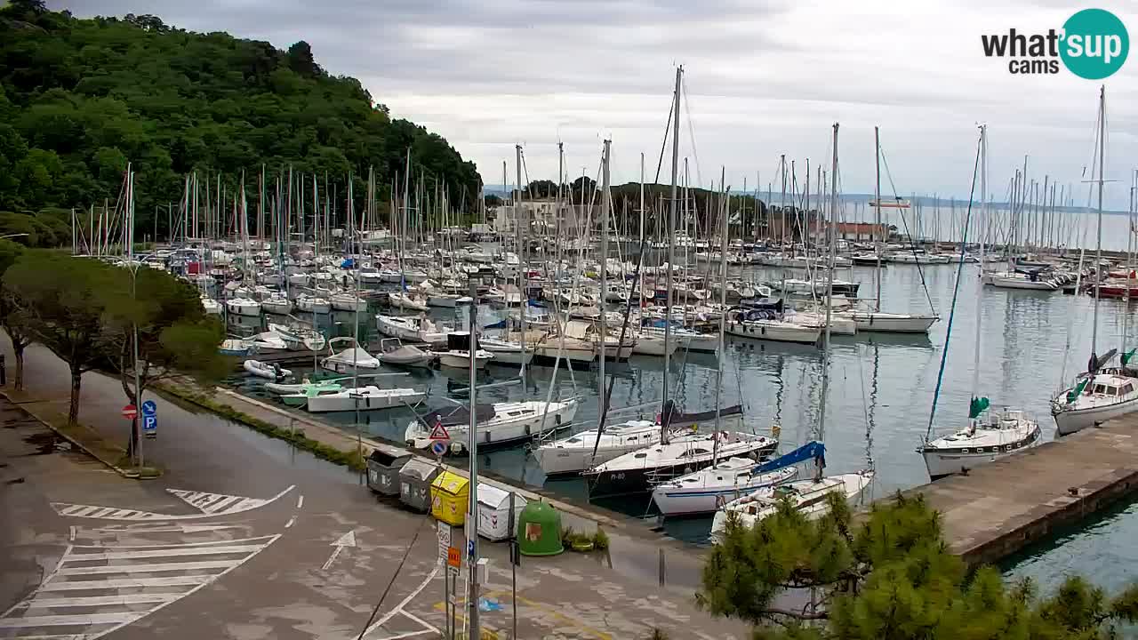 Webcam Sistiana – Pogled na marinu i zaljev