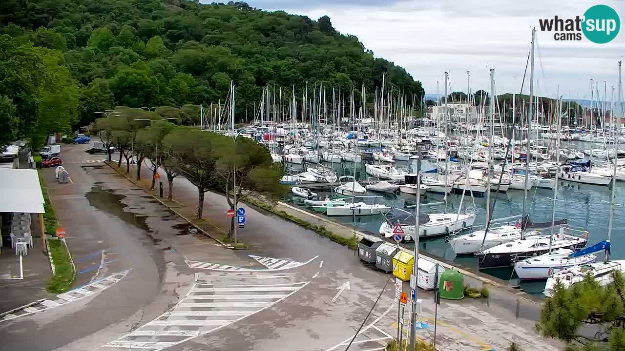 Spletna kamera Sesljan (Sistiana) – Pogled na marino in zaliv