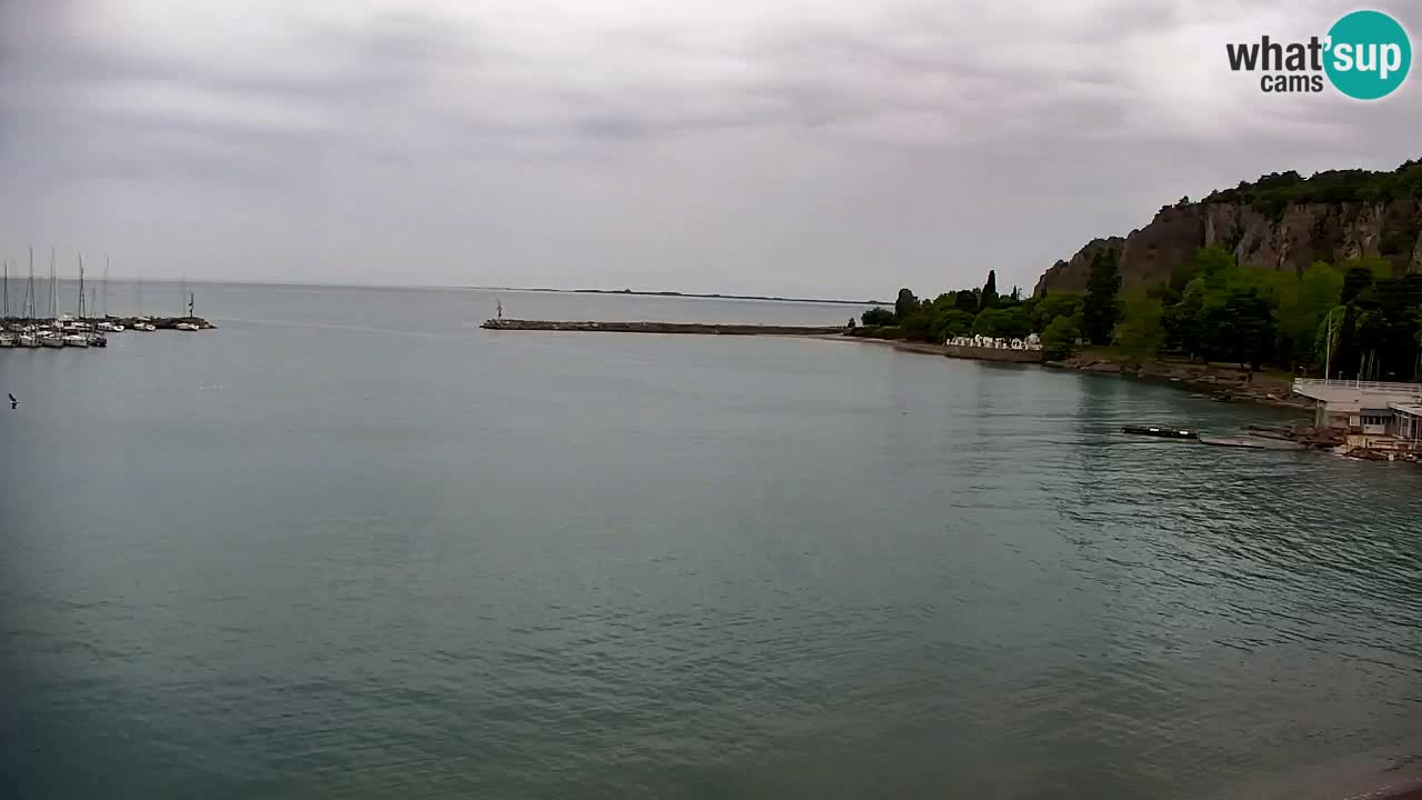 Webcam Sistiana – Blick auf Marina und Bucht