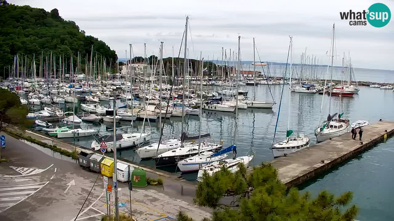 Spletna kamera Sesljan (Sistiana) – Pogled na marino in zaliv