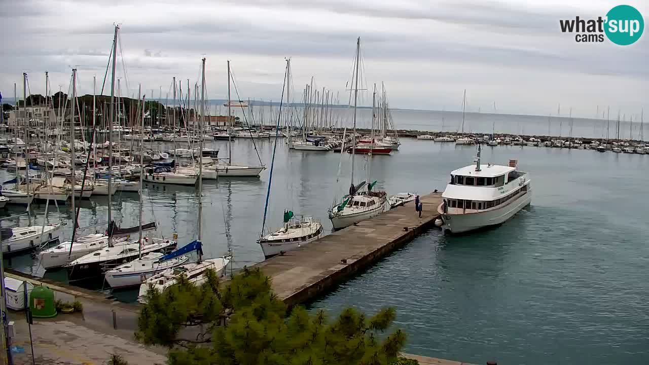 Webcam Sistiana – Vista sulla marina e sulla baia