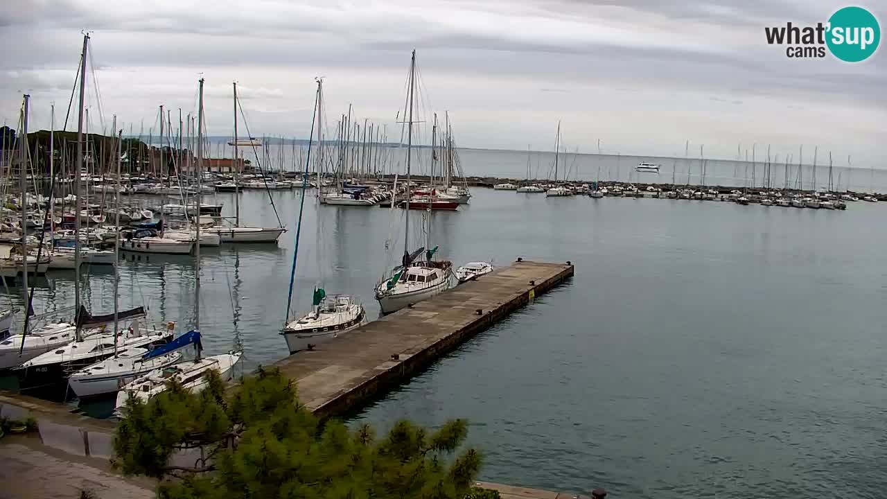 Webcam Sistiana – Pogled na marinu i zaljev