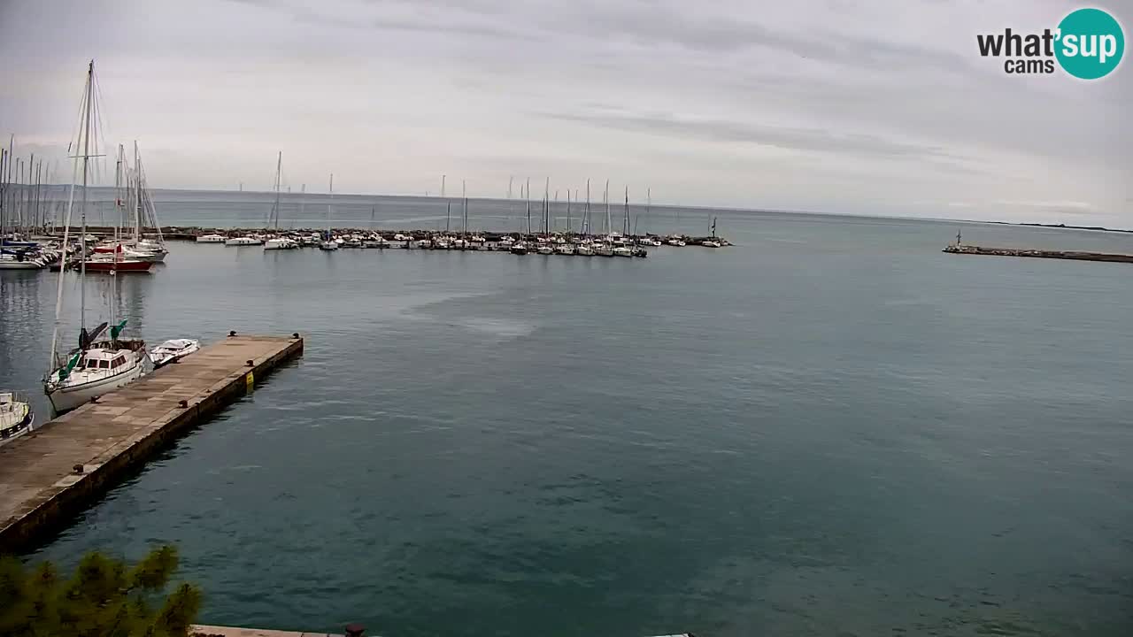 Webcam Sistiana – Blick auf Marina und Bucht