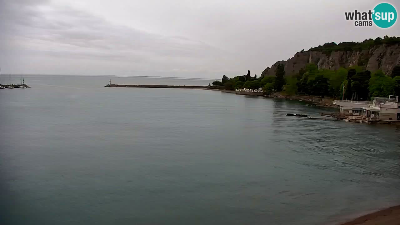 Spletna kamera Sesljan (Sistiana) – Pogled na marino in zaliv