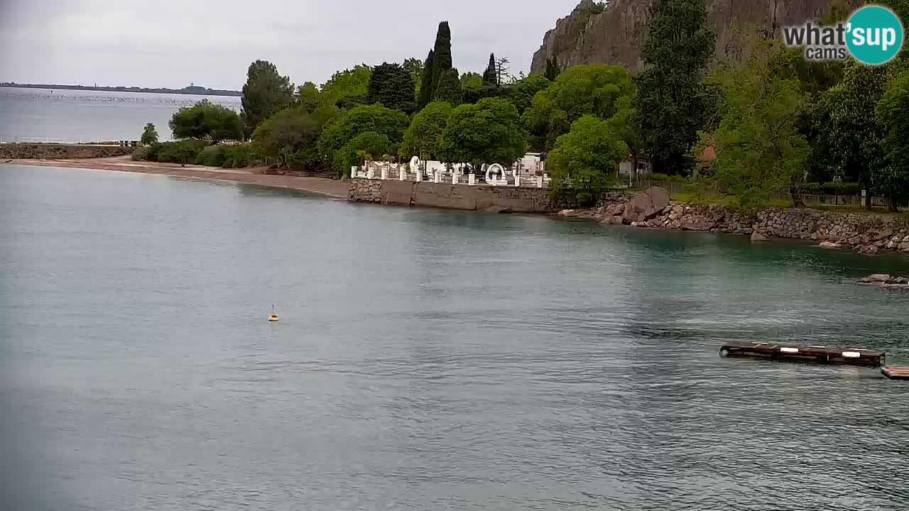Spletna kamera Sesljan (Sistiana) – Pogled na marino in zaliv