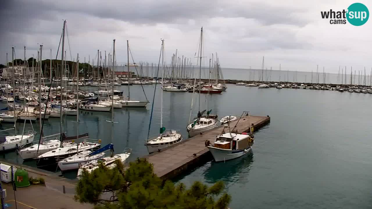 Webcam Sistiana – Marina and Bay Live View
