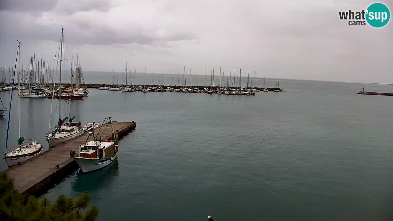 Webcam Sistiana – Vue sur la marina et la baie