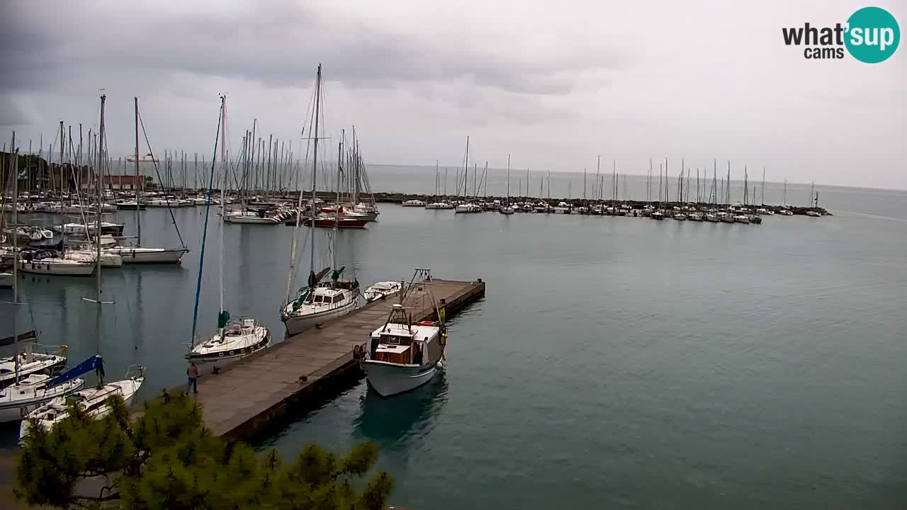 Webcam Sistiana – Vista sobre la marina y la bahía