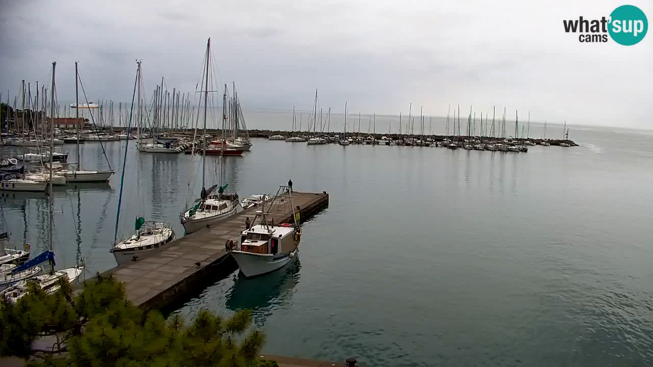 Webcam Sistiana – Vue sur la marina et la baie
